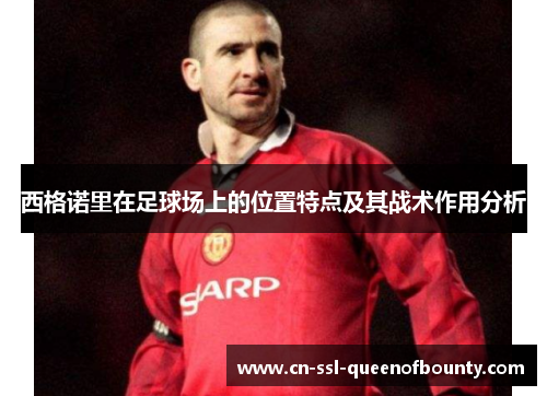 西格诺里在足球场上的位置特点及其战术作用分析 西格诺里在足球场上的位置特点及其战术作用分析