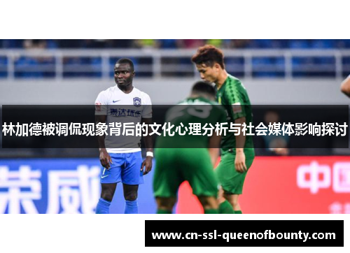 林加德被调侃现象背后的文化心理分析与社会媒体影响探讨